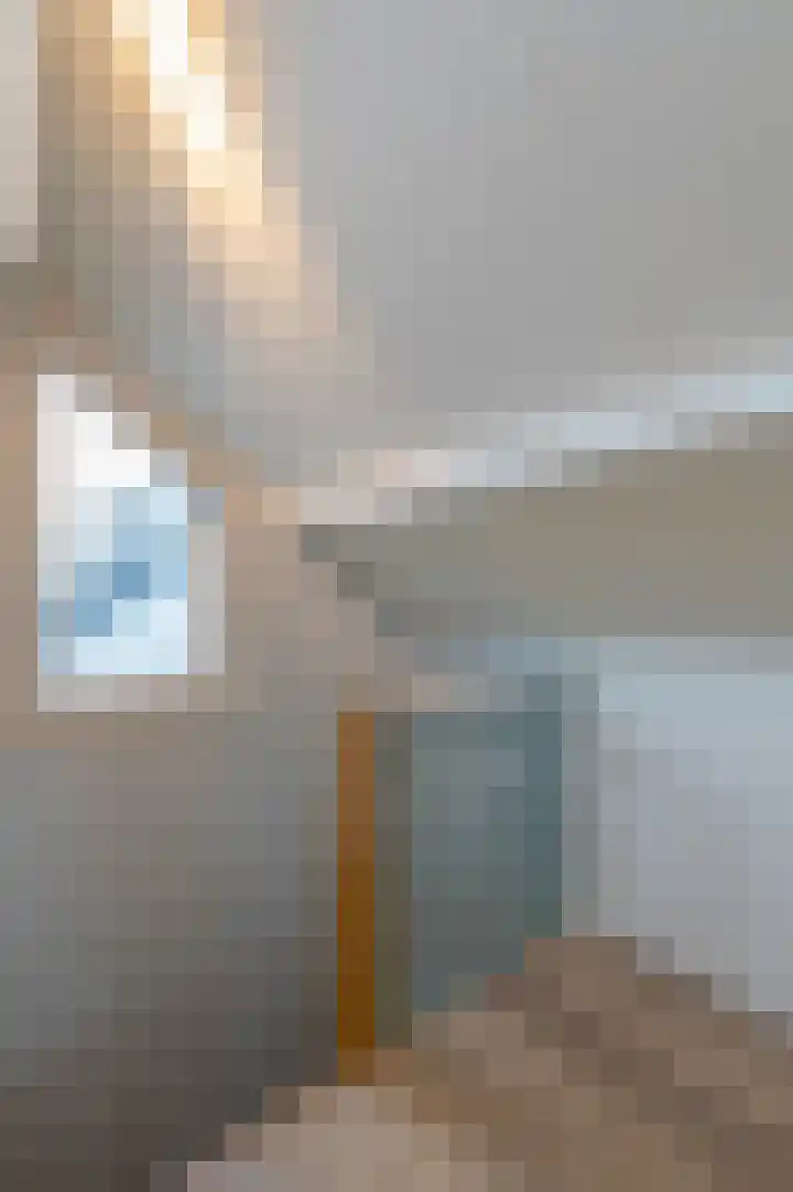 Eekhoornlaan 14 Waalre thumbnail 22