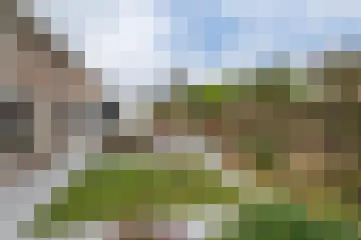 Eekhoornlaan 14 Waalre thumbnail 27