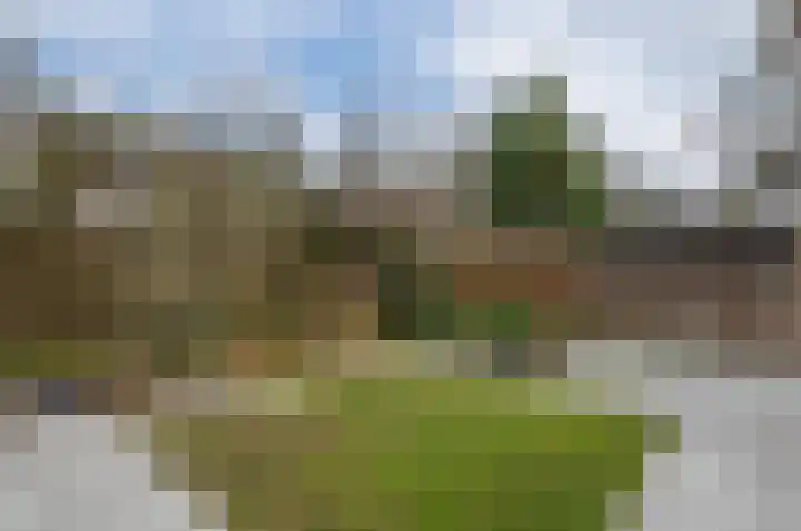 Eekhoornlaan 14 Waalre thumbnail 28