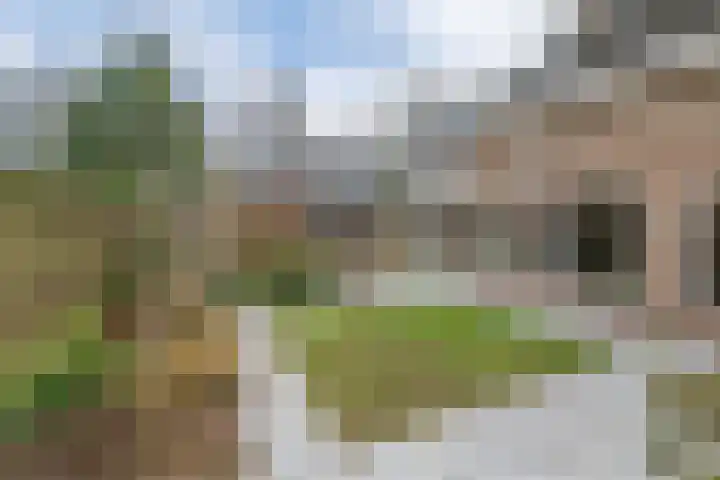 Eekhoornlaan 14 Waalre thumbnail 29