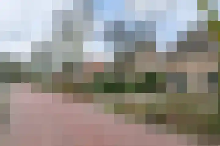 Eekhoornlaan 14 Waalre thumbnail 33