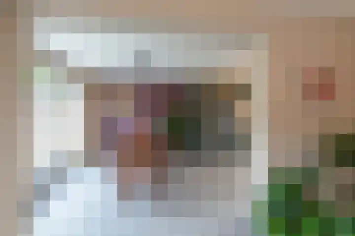 Eekhoornlaan 14 Waalre thumbnail 8