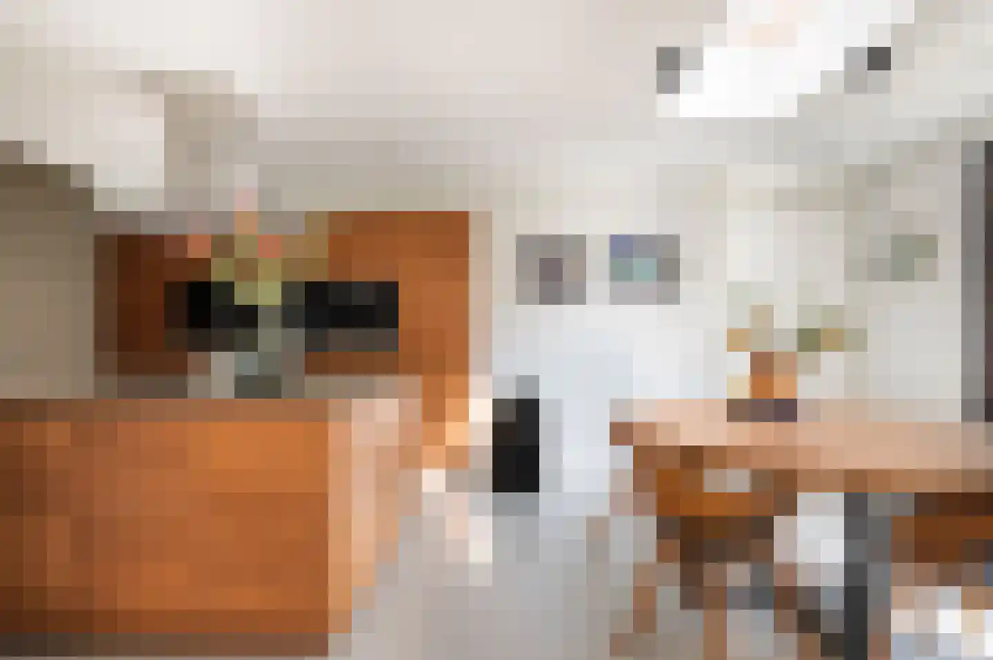 Eekhoornlaan 28 Waalre thumbnail 22