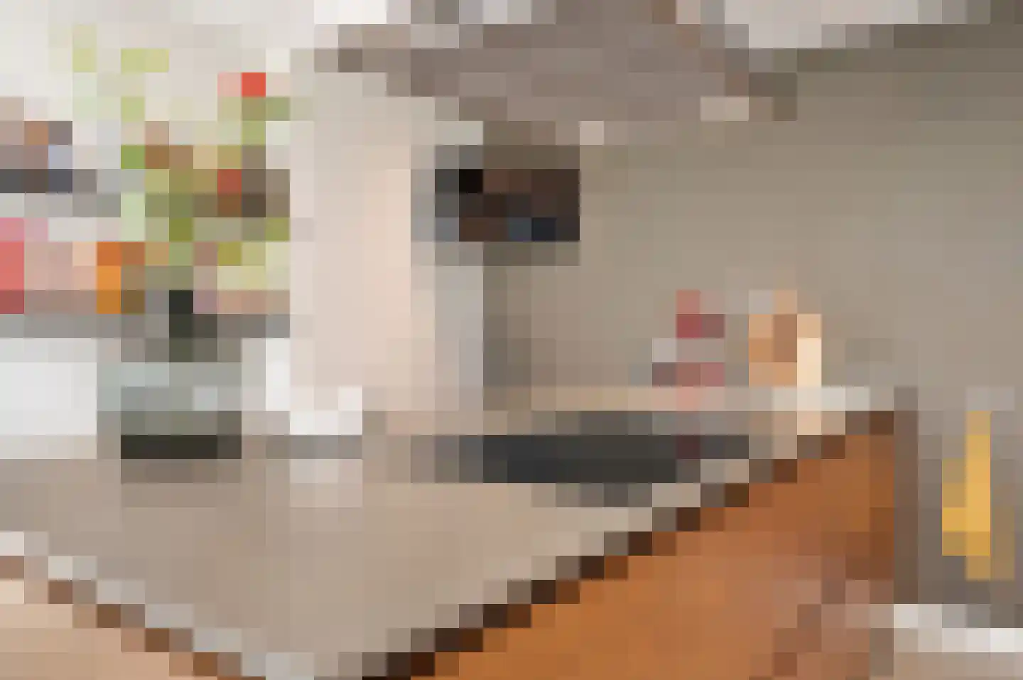 Eekhoornlaan 28 Waalre thumbnail 25