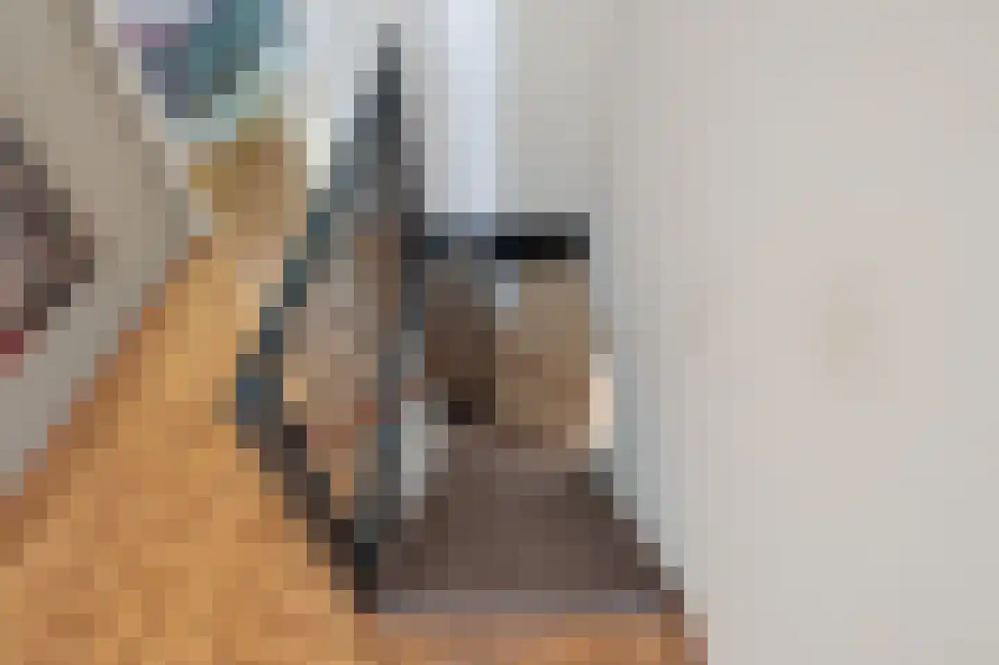 Eekhoornlaan 28 Waalre thumbnail 38