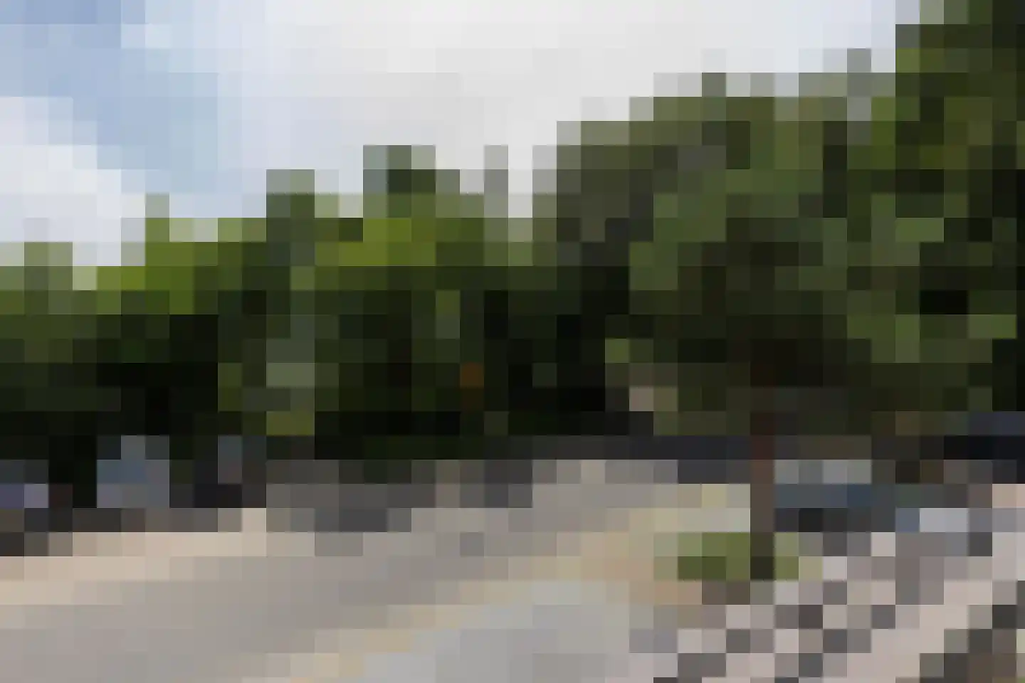Eekhoornlaan 4 Son en Breugel thumbnail 29