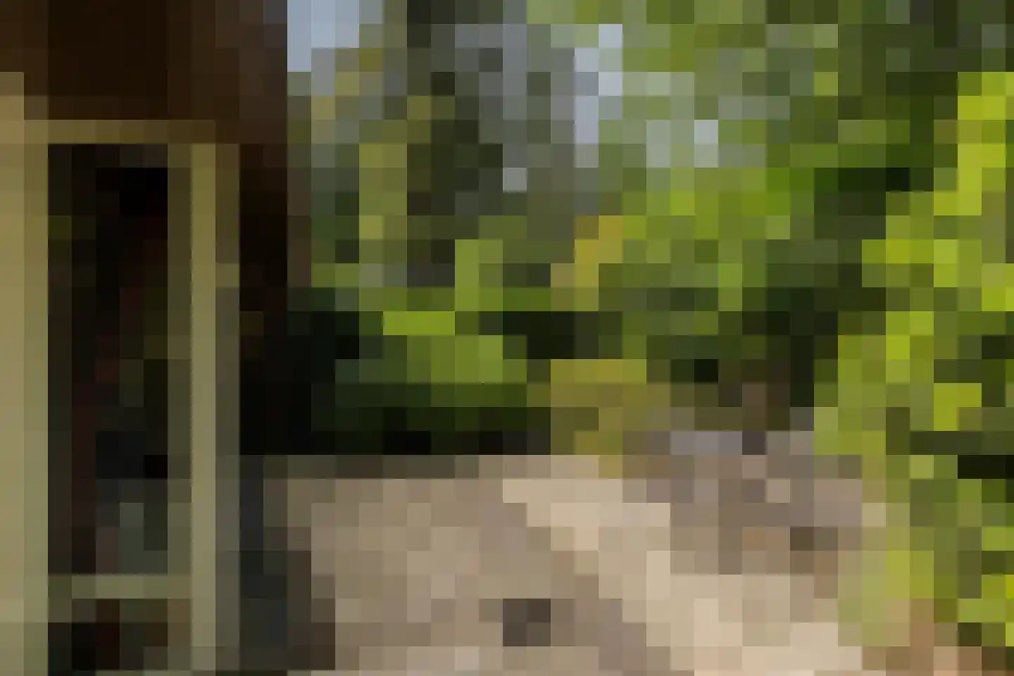 Eekhoornlaan 4 Son en Breugel thumbnail 31