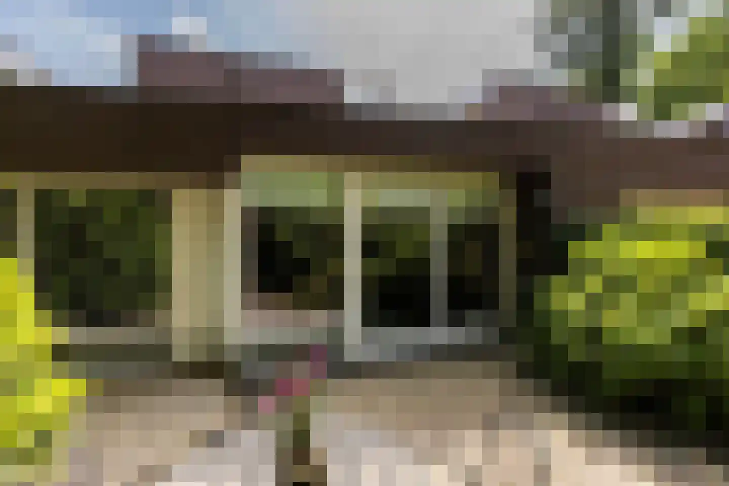 Eekhoornlaan 4 Son en Breugel thumbnail 33