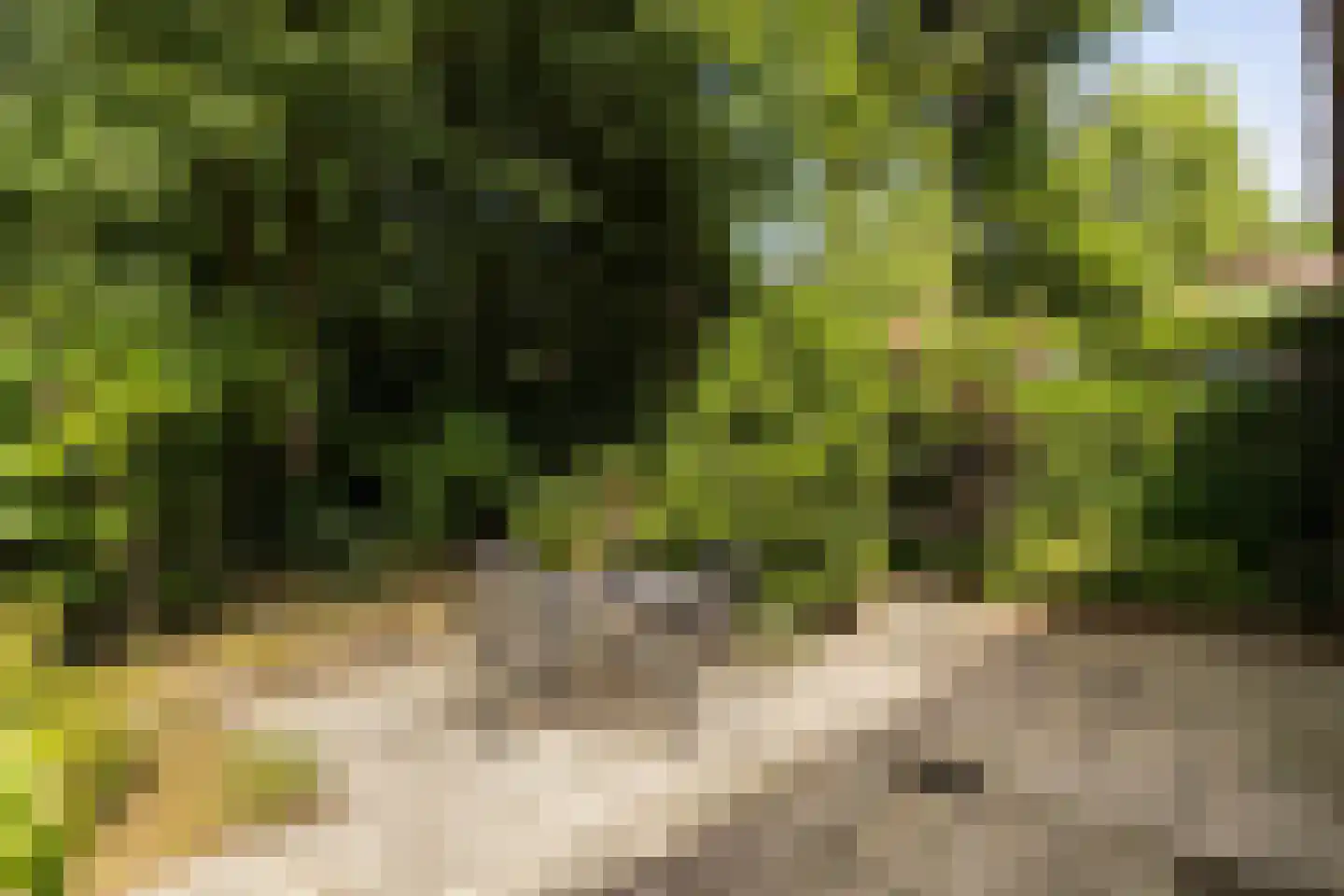 Eekhoornlaan 4 Son en Breugel thumbnail 5