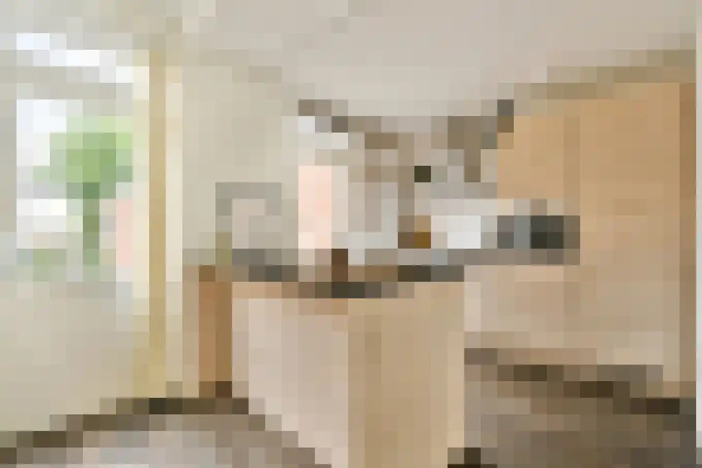 Eekhoornlaan 48 Den Dolder thumbnail 10