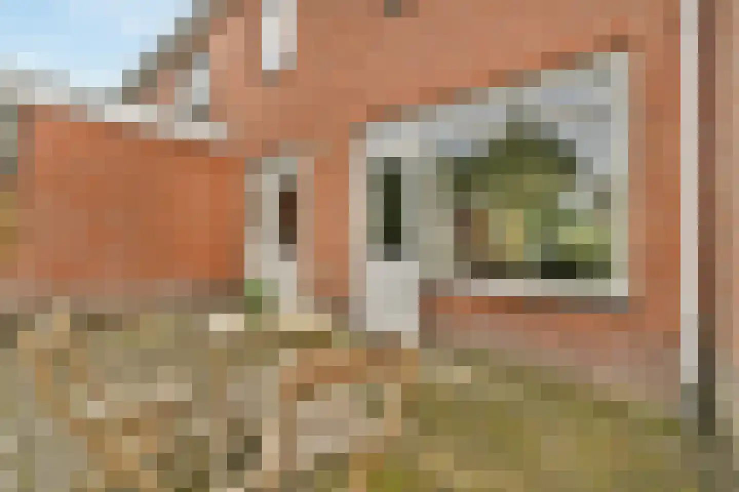 Eekhoornlaan 48 Den Dolder thumbnail 16