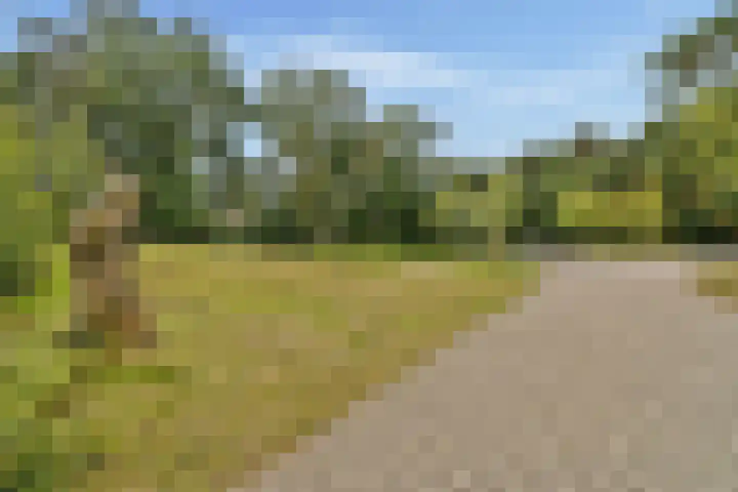 Eekhoornlaan 48 Den Dolder thumbnail 33