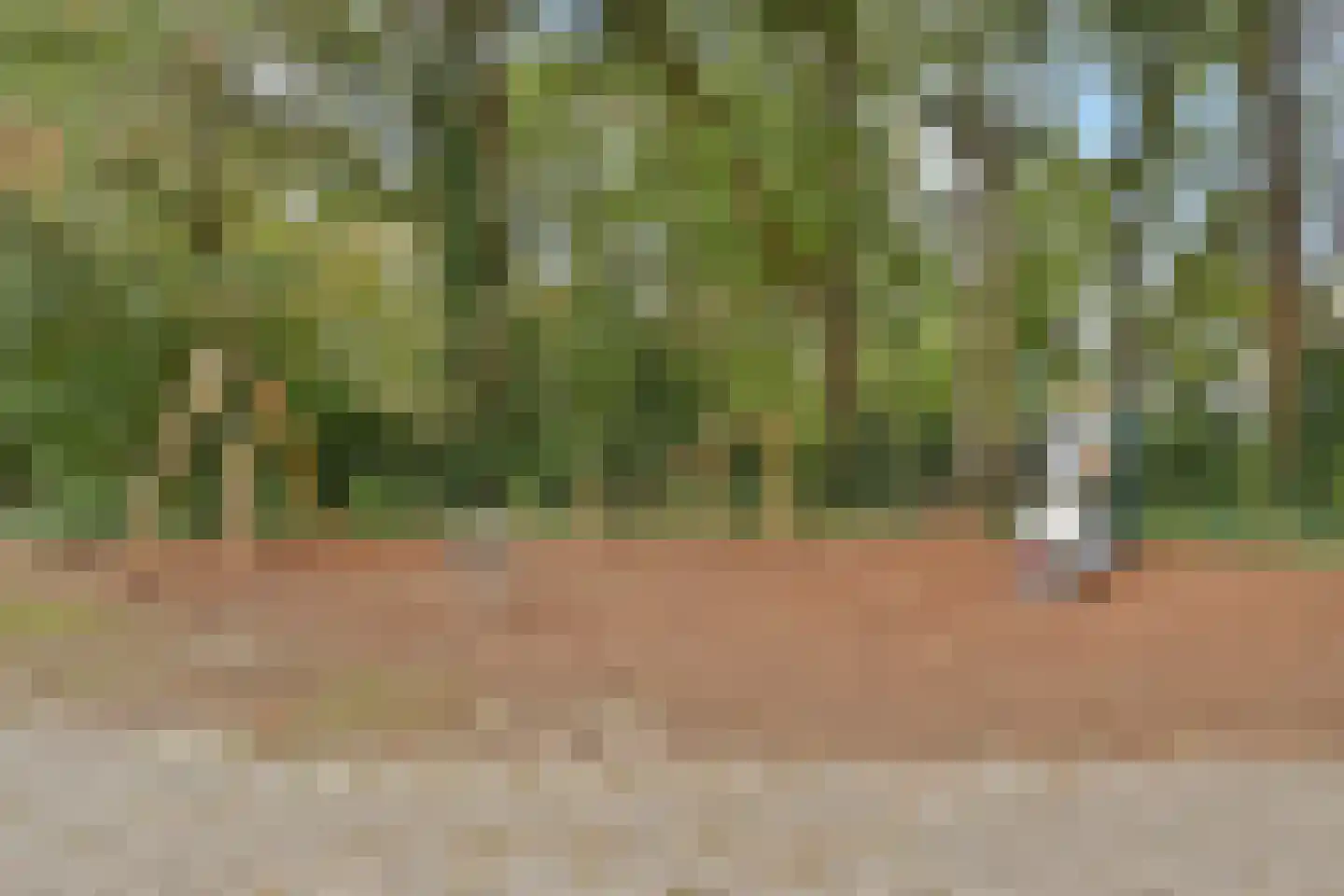 Eekhoornlaan 48 Den Dolder thumbnail 34