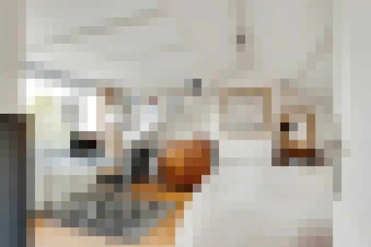 Eekhoornlaan 6 Den Dolder thumbnail 26