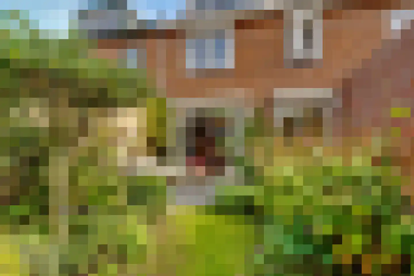 Eekhoornlaan 6 Den Dolder thumbnail 27