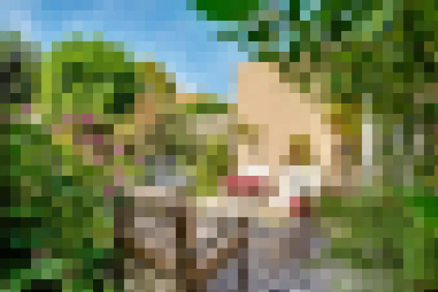 Eekhoornlaan 6 Den Dolder thumbnail 28