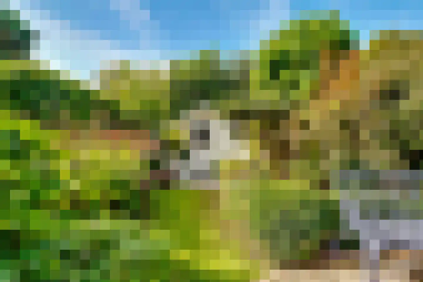Eekhoornlaan 6 Den Dolder thumbnail 30