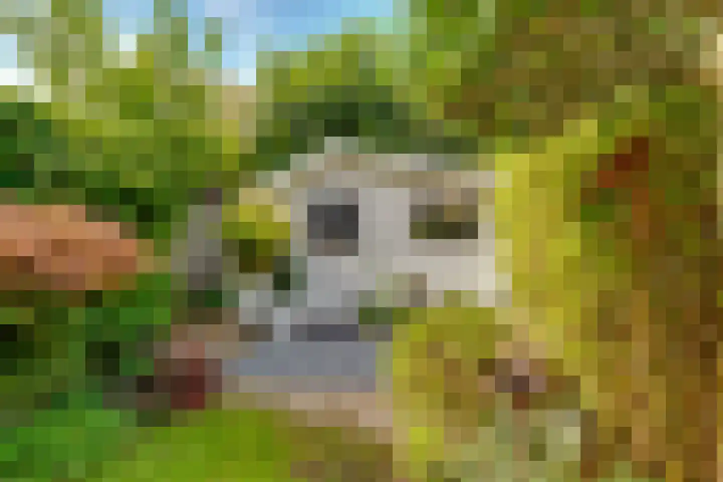 Eekhoornlaan 6 Den Dolder thumbnail 31