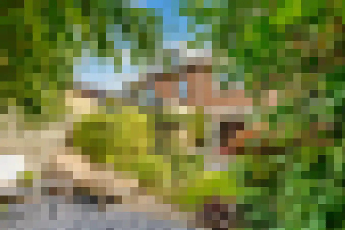 Eekhoornlaan 6 Den Dolder thumbnail 32