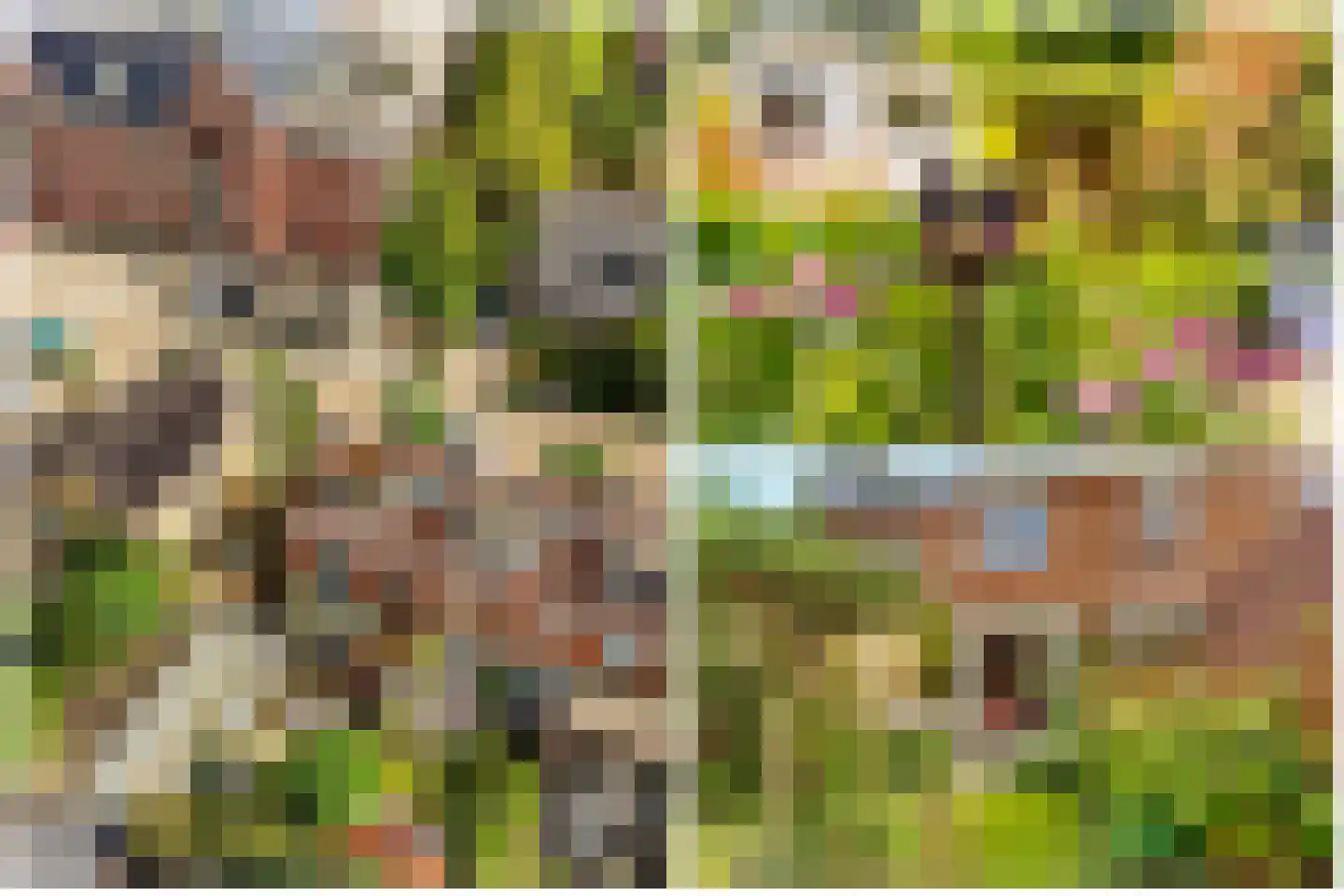 Eekhoornlaan 6 Den Dolder thumbnail 34