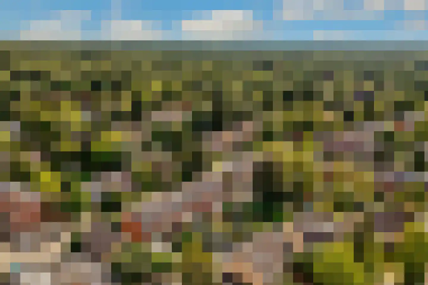 Eekhoornlaan 6 Den Dolder thumbnail 35