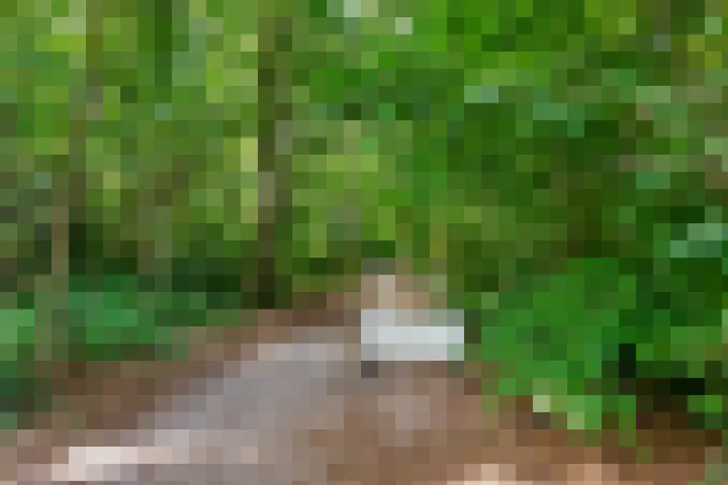 Eekhoornlaan 67 Den Dolder thumbnail 30
