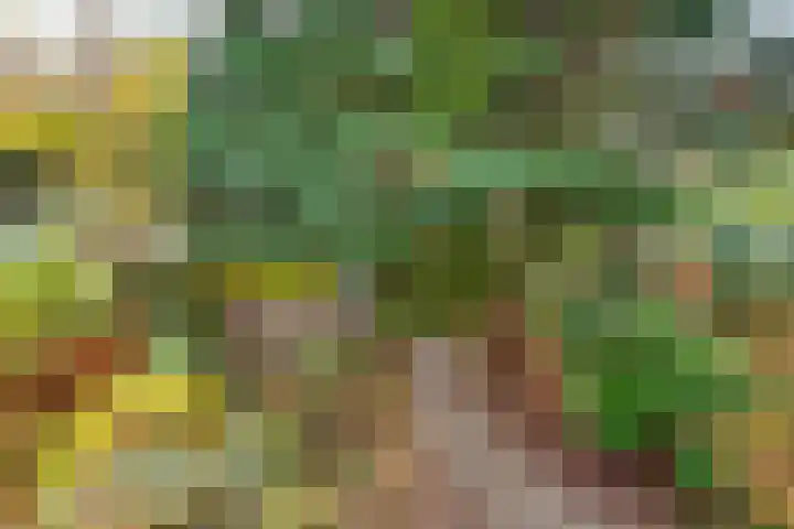 Eekhoornlaan 75 Den Dolder thumbnail 15