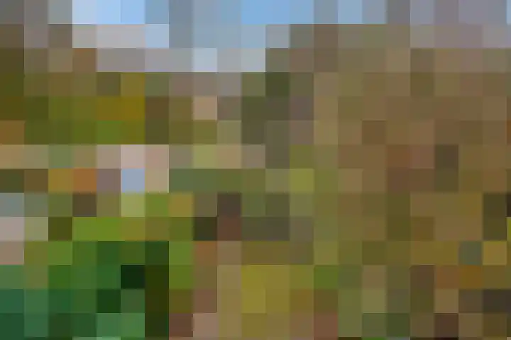 Eekhoornlaan 75 Den Dolder thumbnail 20