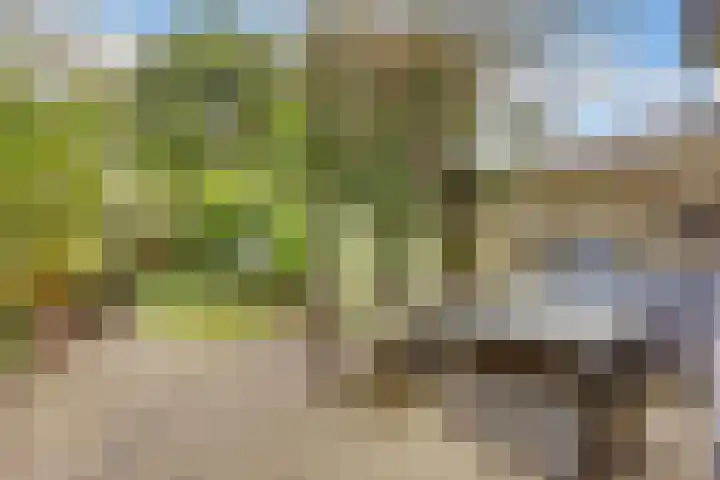 Eekhoornlaan 75 Den Dolder thumbnail 26