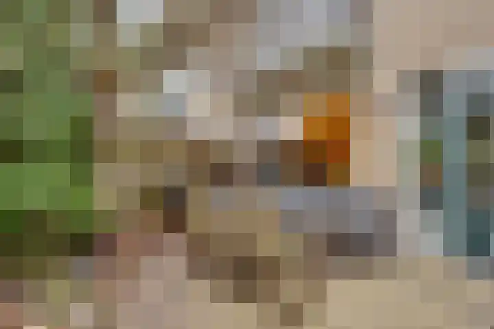 Eekhoornlaan 75 Den Dolder thumbnail 28