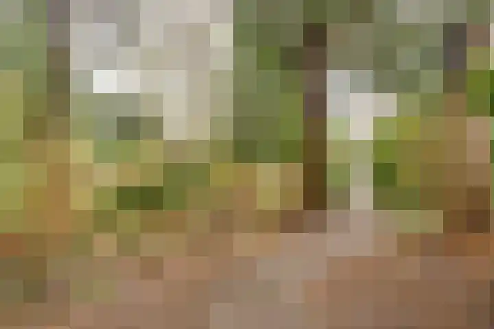 Eekhoornlaan 75 Den Dolder foto 3