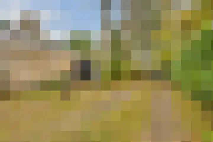 Eekhoornlaan 75 Den Dolder thumbnail 33