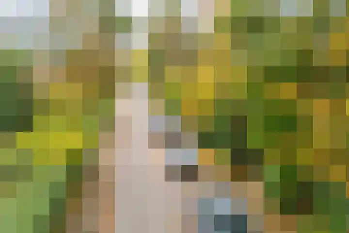 Eekhoornlaan 75 Den Dolder thumbnail 34