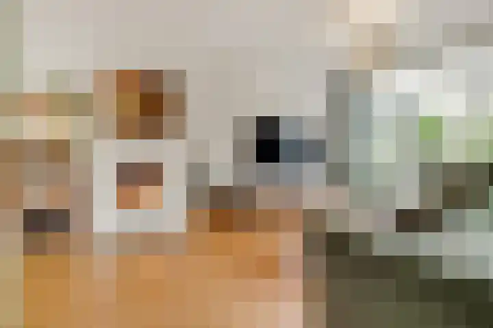 Eekhoornlaan 75 Den Dolder thumbnail 8