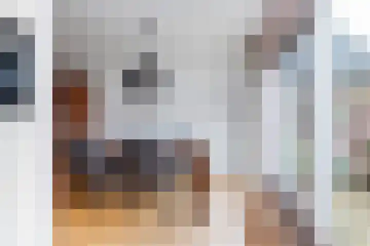 Eekhoornlaan 9 Wezep thumbnail 11
