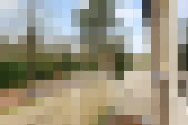 Eekhoornlaan 9 Wezep thumbnail 16