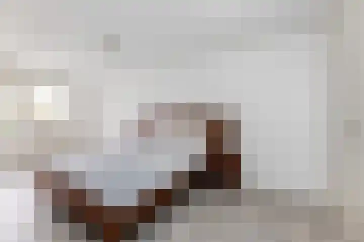 Eekhoornlaan 9 Wezep thumbnail 17