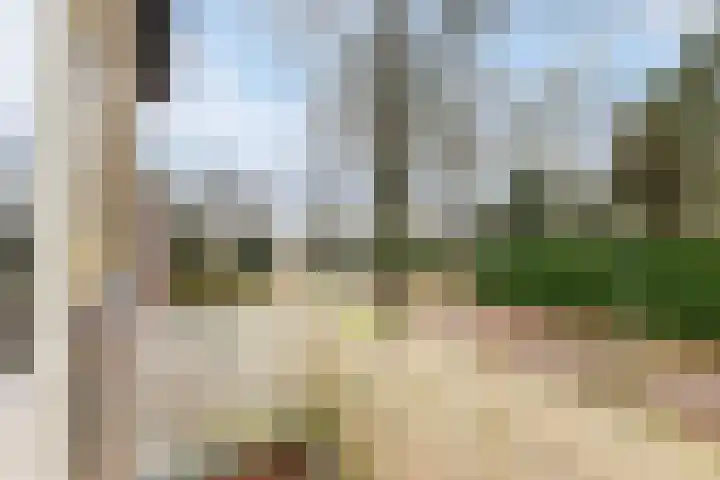 Eekhoornlaan 9 Wezep thumbnail 19