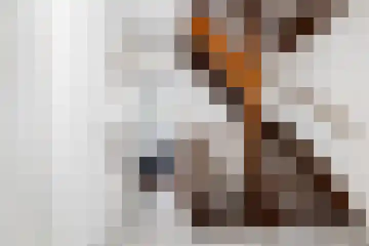 Eekhoornlaan 9 Wezep thumbnail 20