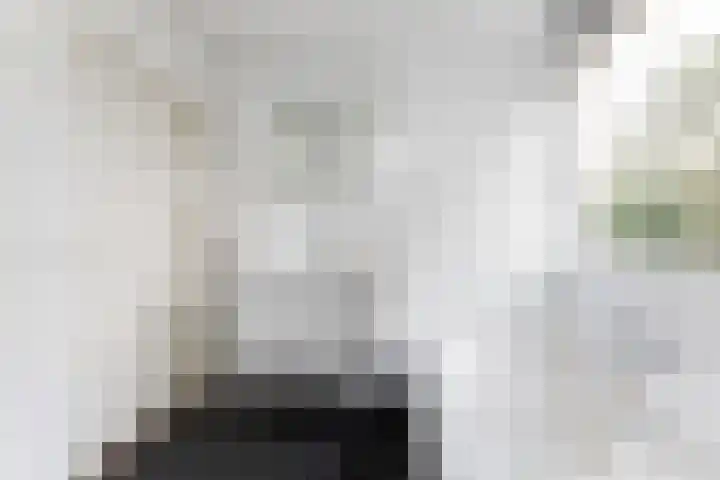 Eekhoornlaan 9 Wezep thumbnail 23