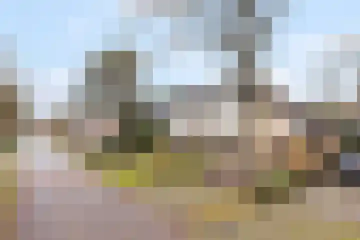 Eekhoornlaan 9 Wezep foto 3
