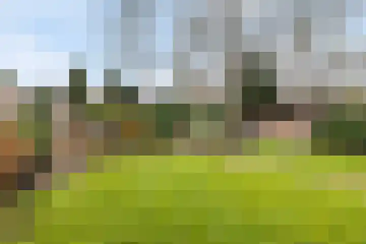 Eekhoornlaan 9 Wezep thumbnail 33
