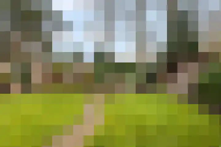 Eekhoornlaan 9 Wezep thumbnail 34