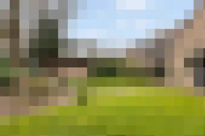 Eekhoornlaan 9 Wezep thumbnail 35