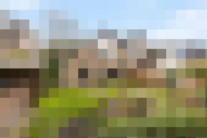 Eekhoornlaan 9 Wezep thumbnail 36
