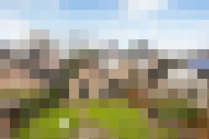 Eekhoornlaan 9 Wezep thumbnail 37