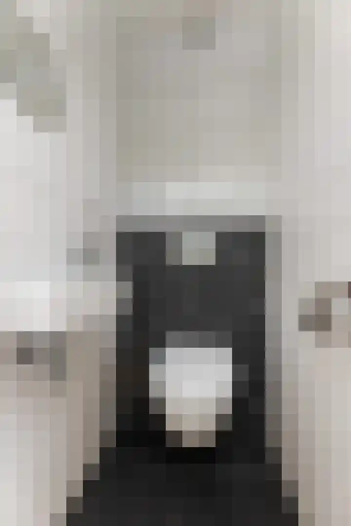 Eekhoornlaan 9 Wezep thumbnail 38