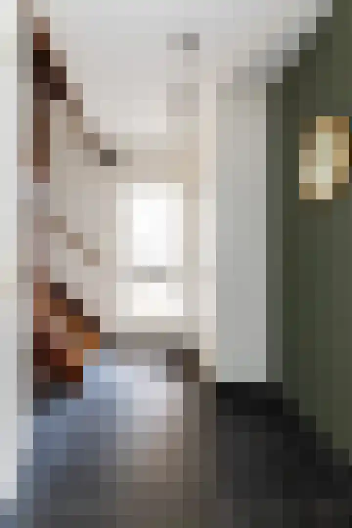 Eekhoornlaan 9 Wezep thumbnail 39