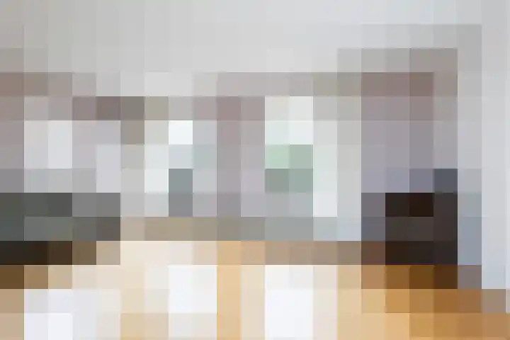 Eekhoornlaan 9 Wezep thumbnail 7