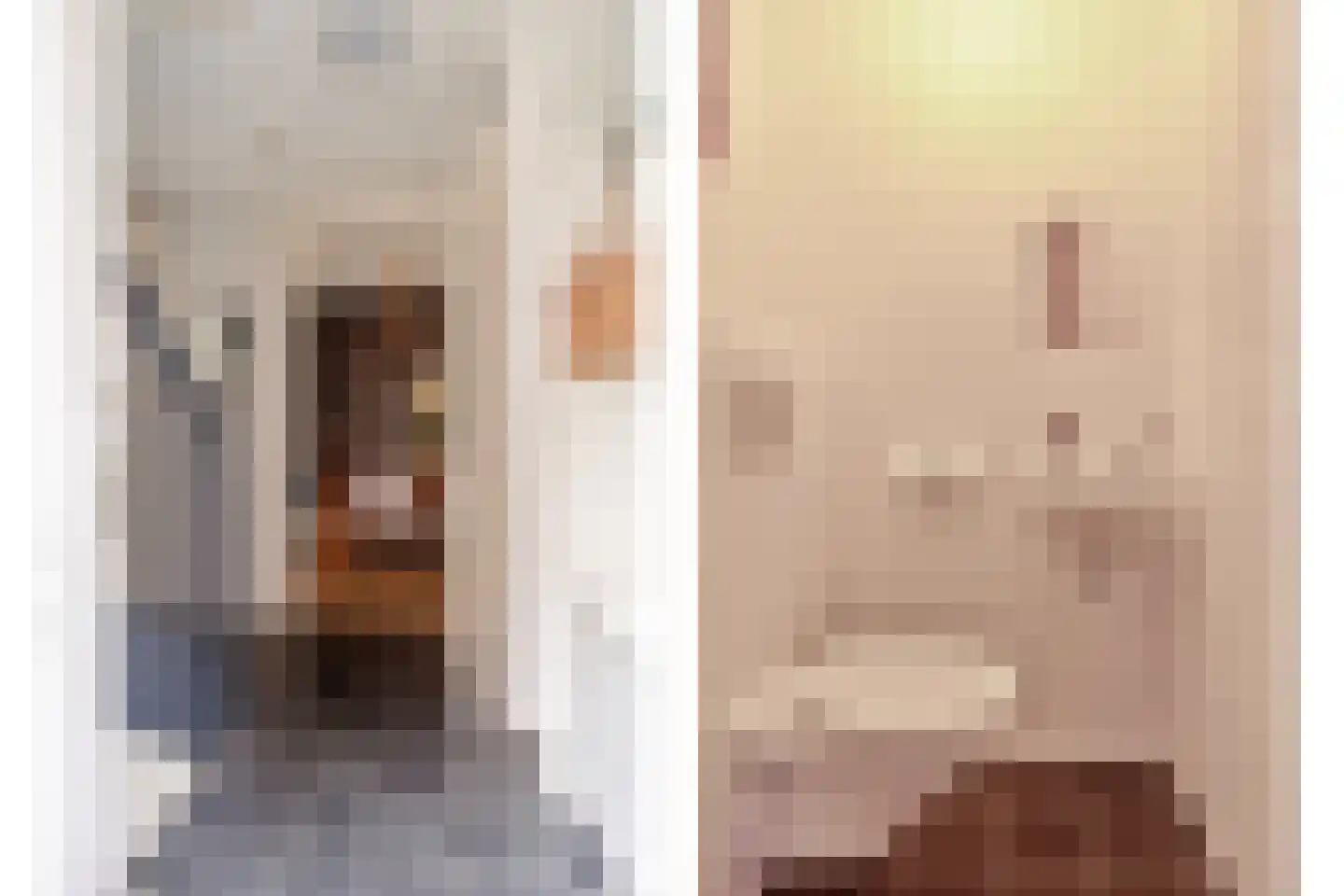 Eekhoornnest 14 Scherpenzeel thumbnail 12